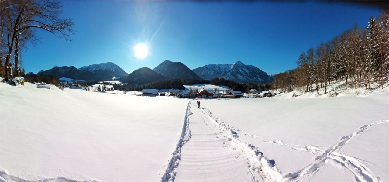 Ferienwohnungen Seraphine Und Theresia Grundlsee Exteriér fotografie