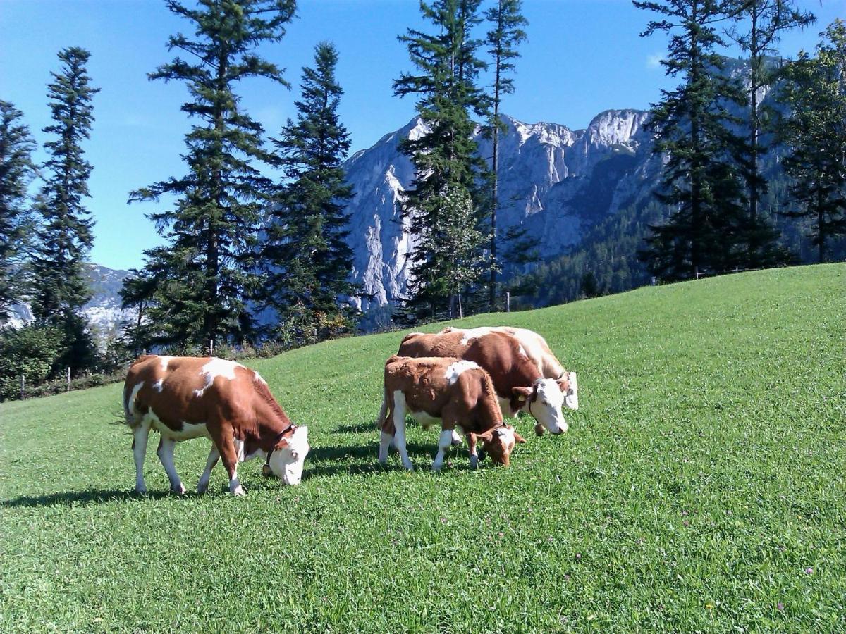 Ferienwohnungen Seraphine Und Theresia Grundlsee Exteriér fotografie